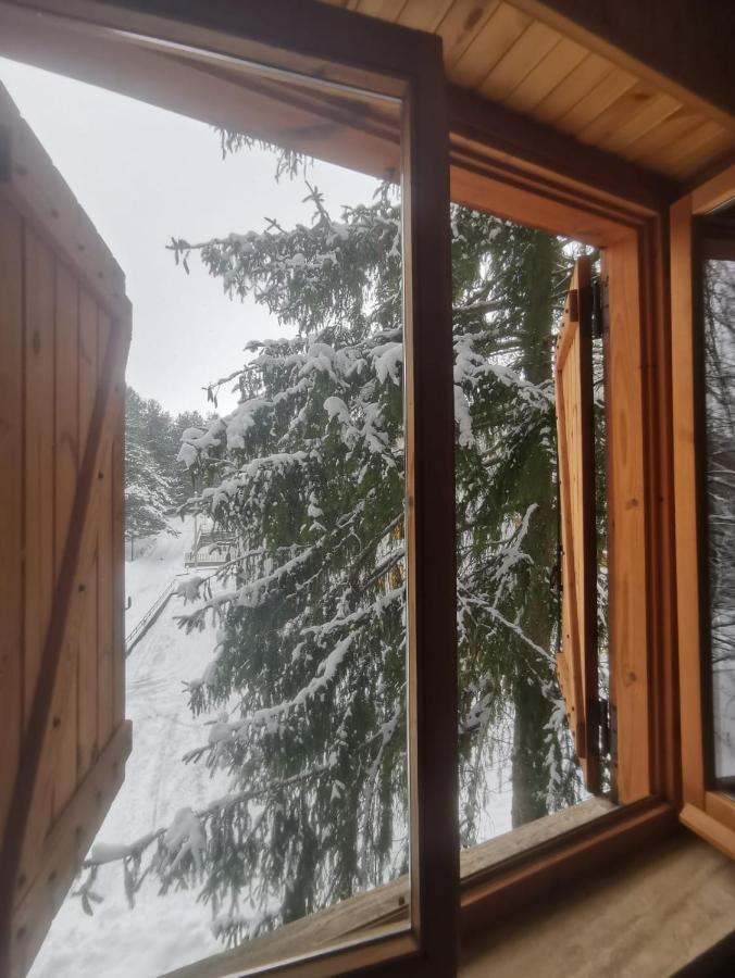 La Casa Di Fantalegno Apartment Camigliatello Silano Luaran gambar
